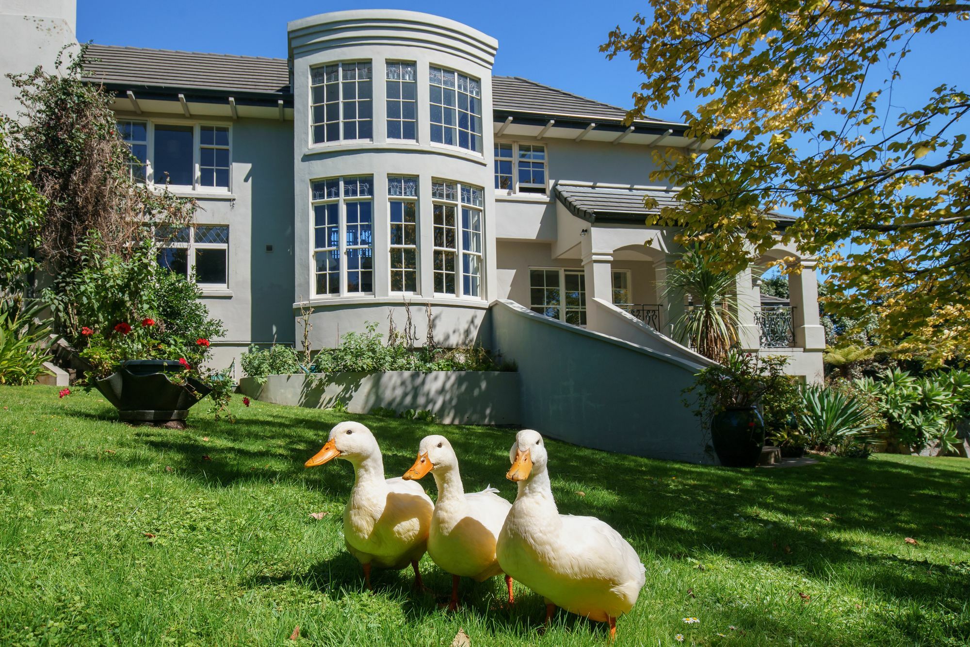 Greenmantle Estate Hotel Paraparaumu Exterior photo